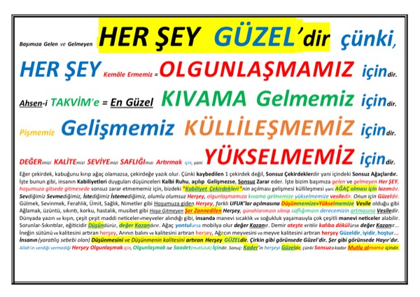 Herşey Güzeldir Çünki Ebedi Saadetimiz İçindir — ilk sayfa