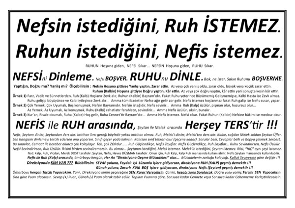 Nefsin Hoşuna Giden, Ruhu Sıkar — ilk sayfa