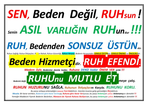 Sen Beden Değil, Ruhsun — ilk sayfa
