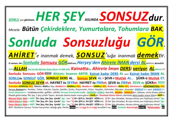 Sonluda Sonsuzu Gör — ilk sayfa