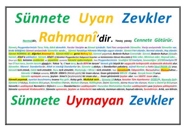 Sünnete Uyan Zevkler, Rahmanidir — ilk sayfa